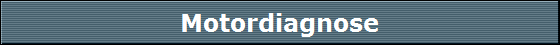 Motordiagnose
