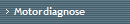 Motordiagnose
